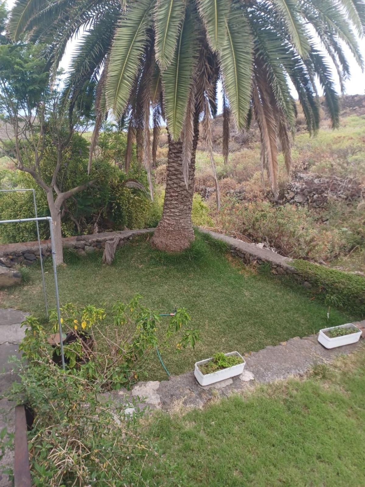 El Olivo De Casa vacanze *