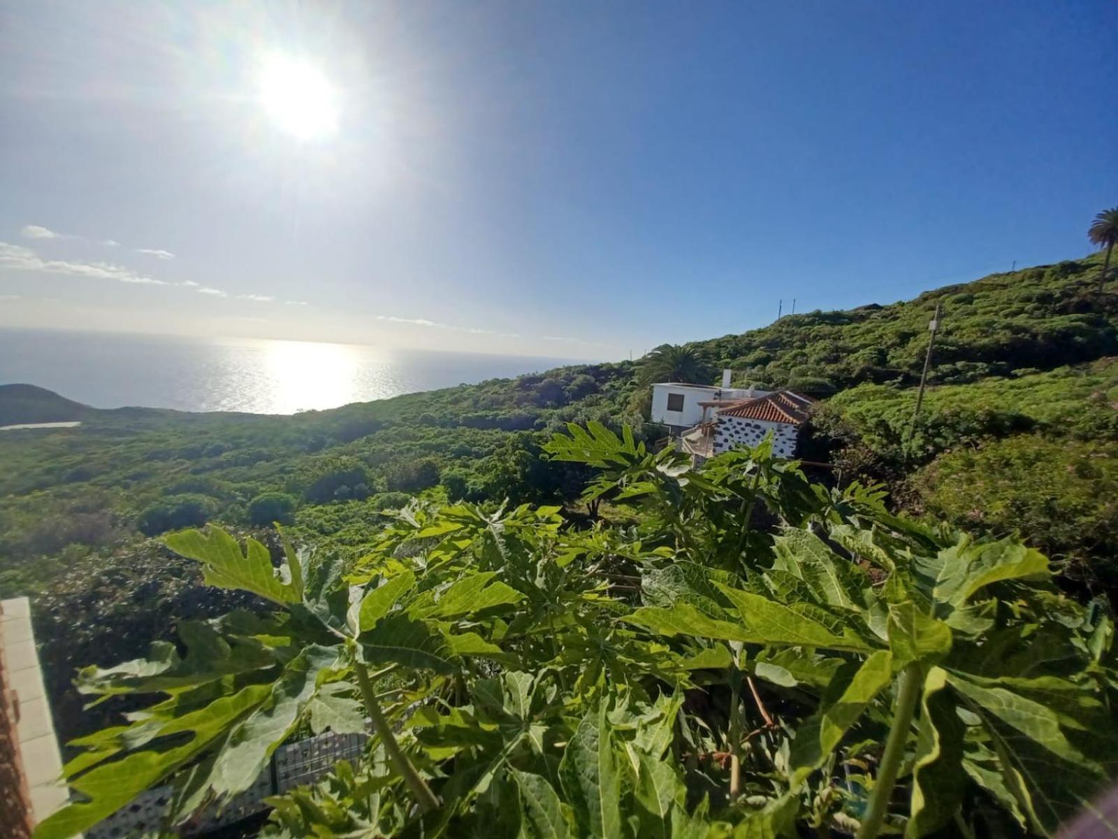 El Olivo De Casa vacanze Mazo