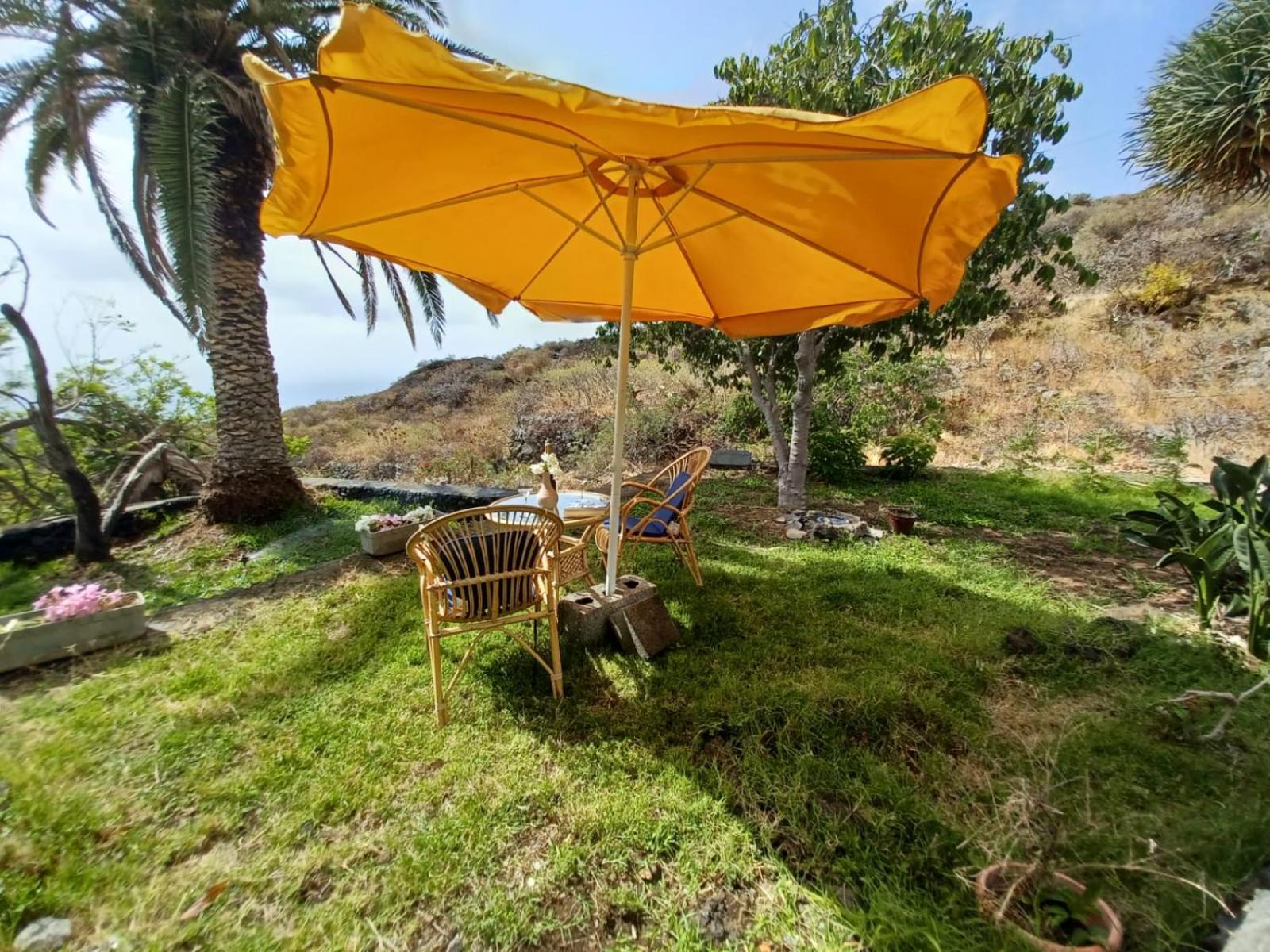 El Olivo De Casa vacanze Mazo